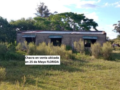 CHACRA en VENTA ubicada en 25 de Mayo FLORIDA