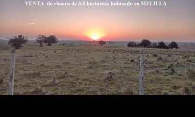 VENTA de chacra de 3.4 hectáreas en MELILLA