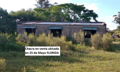 CHACRA en VENTA ubicada en 25 de Mayo FLORIDA