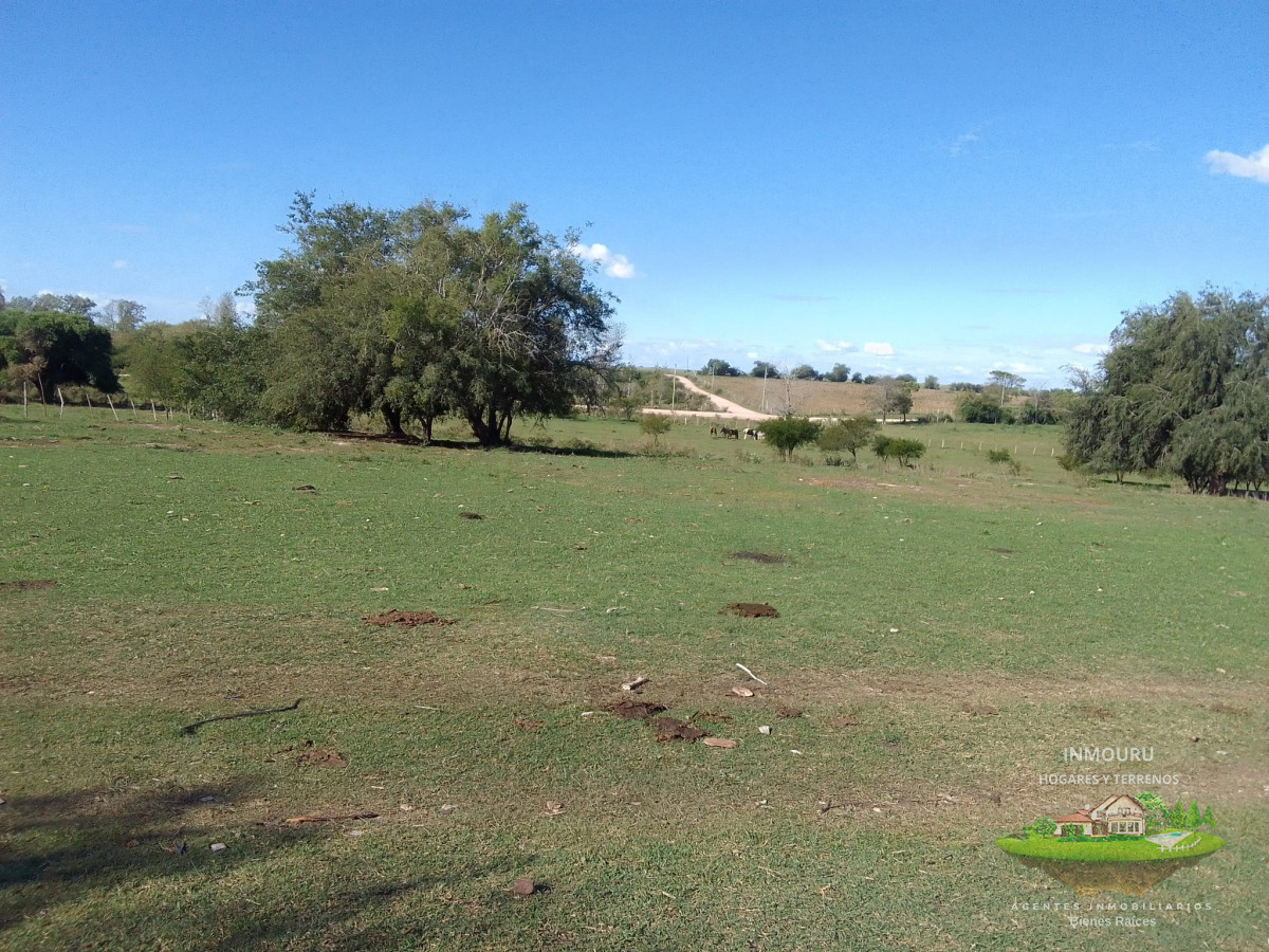 Campo Ref.173 - Venta de chacra 33 hás y vivienda, Paysandú