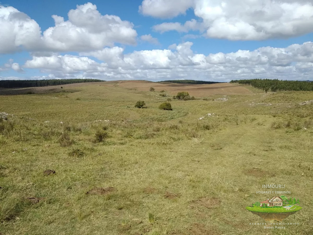 Campo Ref.475 - HERMOSO campo de 355 hectáreas en el departamento de ROCHA 