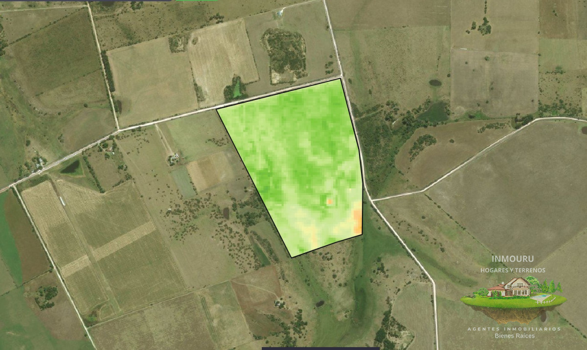 Campo Ref.173 - Venta de chacra 33 hás y vivienda, Paysandú