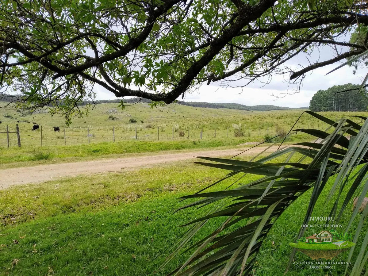 Campo Ref.475 - HERMOSO campo de 355 hectáreas en el departamento de ROCHA 