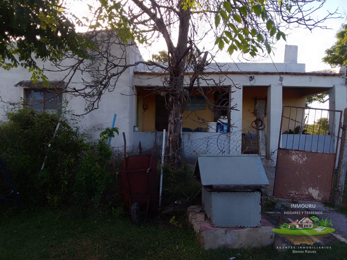 Campo Ref.173 - Venta de chacra 33 hás y vivienda, Paysandú