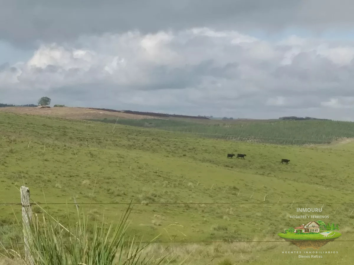 Campo Ref.475 - HERMOSO campo de 355 hectáreas en el departamento de ROCHA 