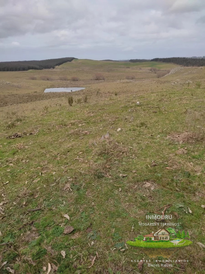 Campo Ref.475 - HERMOSO campo de 355 hectáreas en el departamento de ROCHA 
