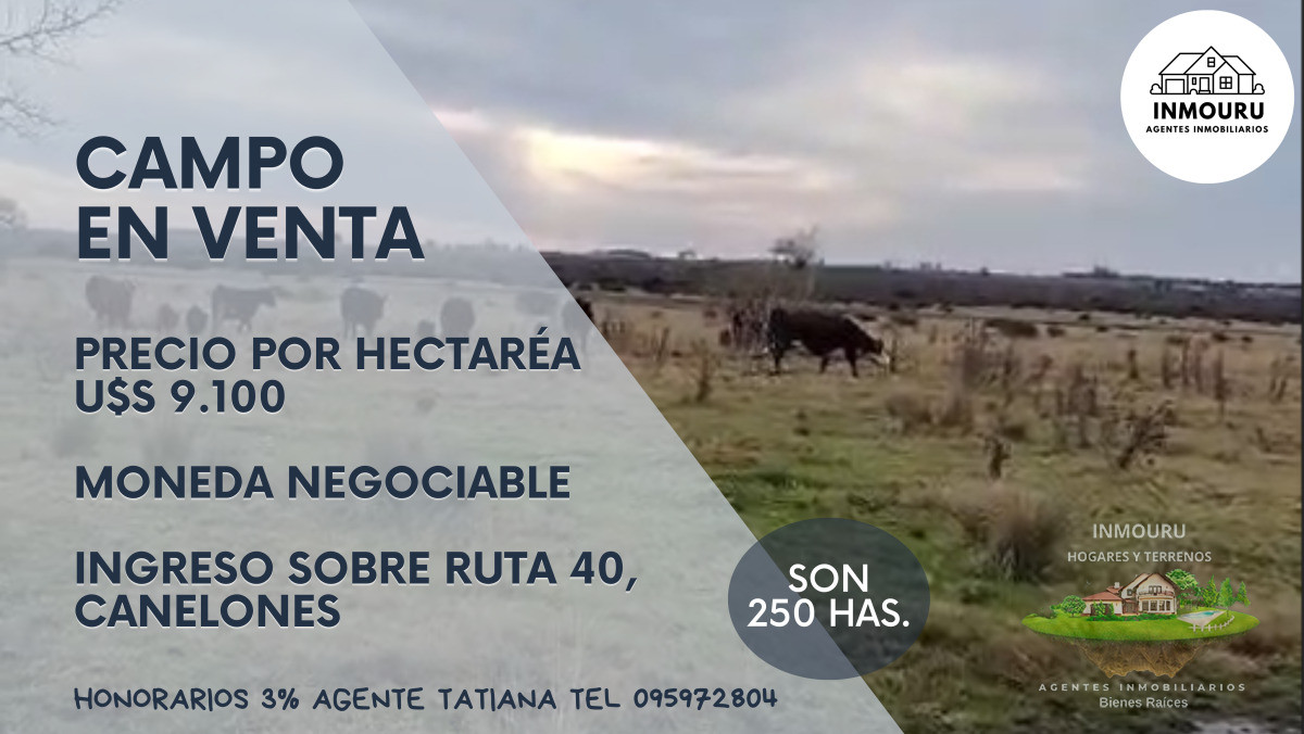 Campo Ref.1995 - Venta de Campo cerca de Piedritas