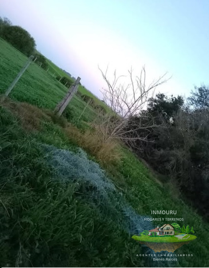 Campo Ref.1578 - Venta de Campo por RUTA 12