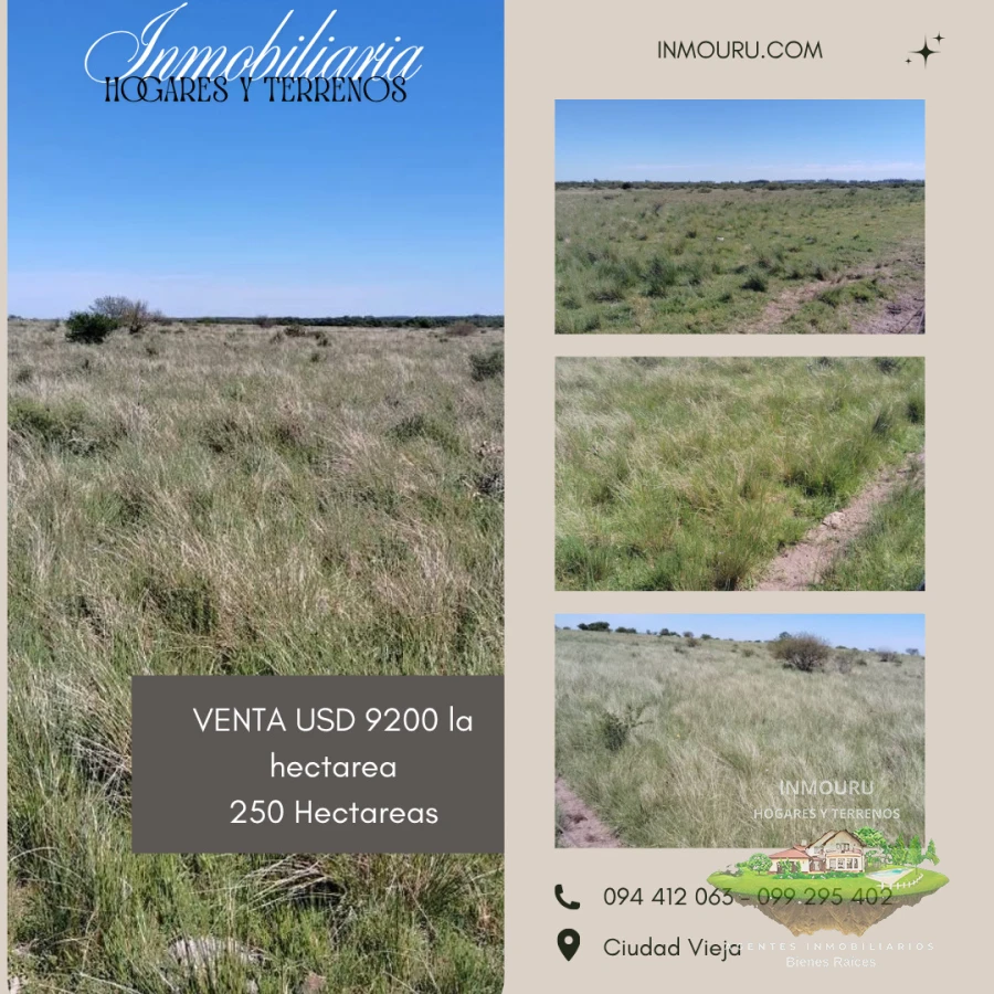 Campo Ref.2150 - VENTA de campo de 250 hectáreas en CANELONES