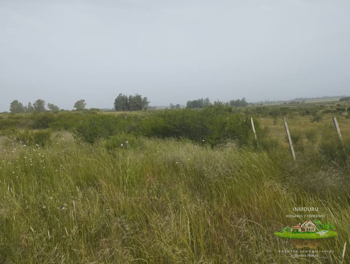 Campo Ref.2896 - Venta de Campo en Santa Rosa