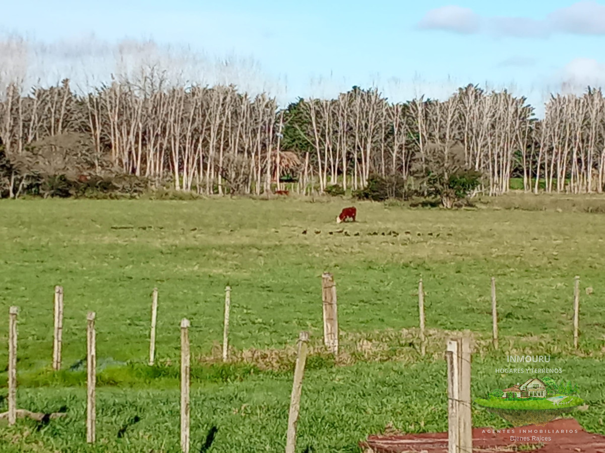 Campo Ref.1548 - Venta de Campo en Villa Passano