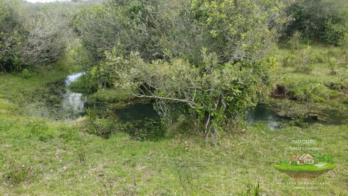 Campo Ref.839 - VENTA de campo en LAVALLEJA (Minas)