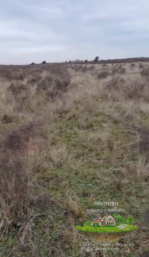 Campo Ref.1995 - Venta de Campo cerca de Piedritas