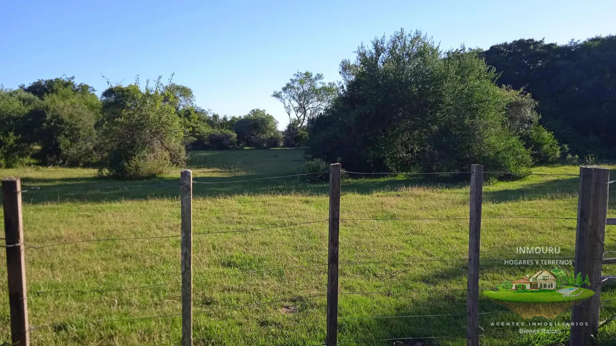 Campo Ref.1525 - VENTA de campo ubicado en TREINTA Y TRES