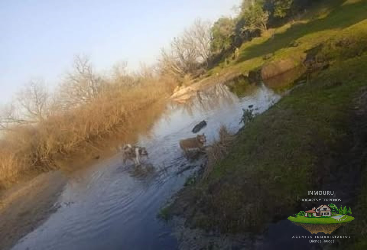 Campo Ref.1996 - Venta de campo de 70 hectareas