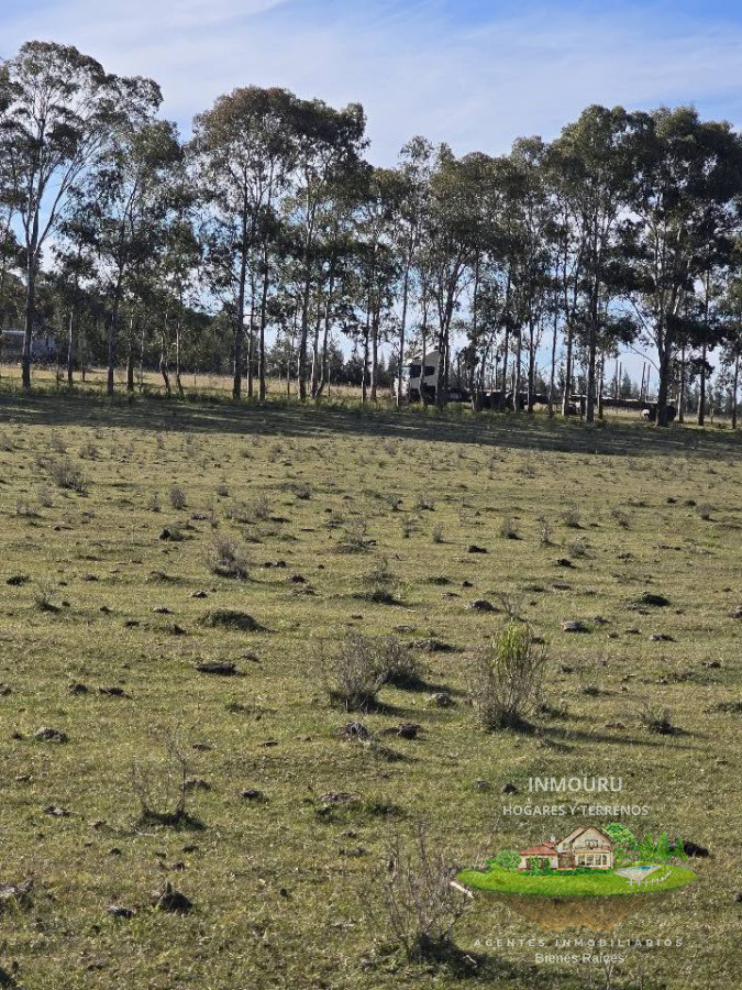 Campo Ref.1887 - Venta de Campo en Estación Tapia