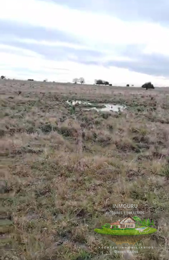 Campo Ref.1995 - Venta de Campo cerca de Piedritas