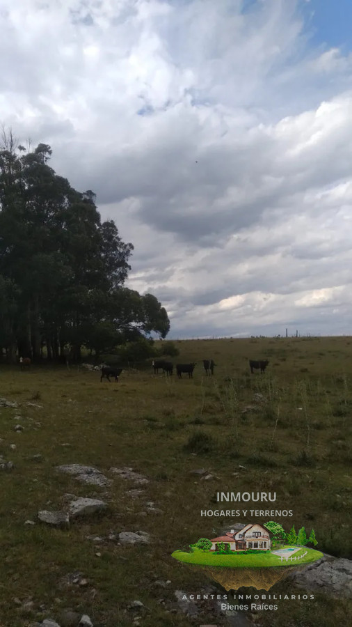 Campo Ref.1764 - VENTA de CAMPO de 34,5 ha en MALDONADO