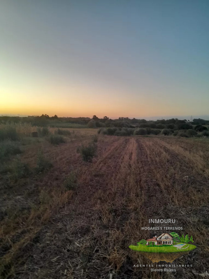 Campo Ref.488 - Venta de campo 4 y un cuarto de hectáreas en paso de la arena 