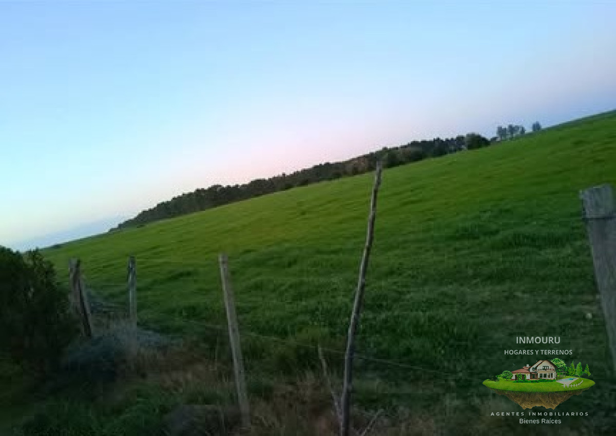Campo Ref.1578 - Venta de Campo por RUTA 12
