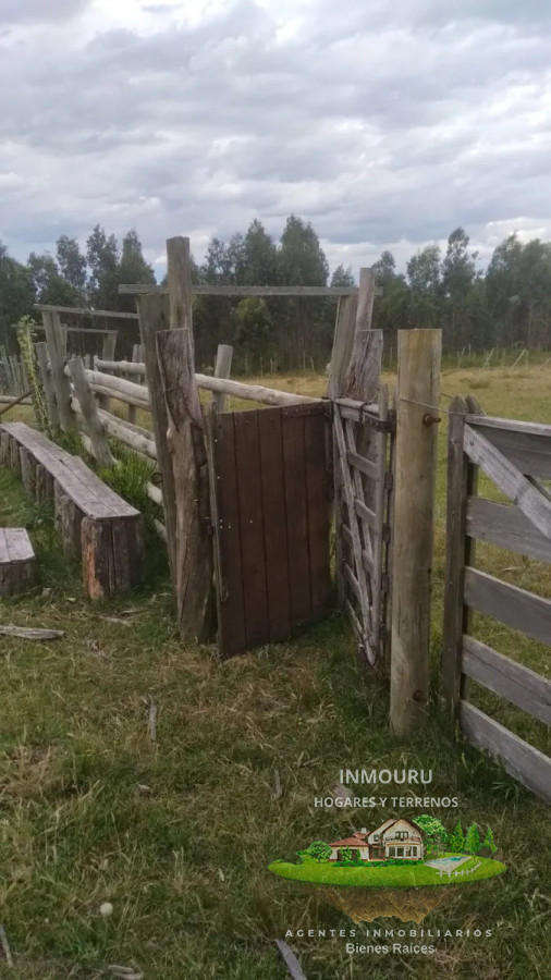Campo Ref.1764 - VENTA de CAMPO de 34,5 ha en MALDONADO