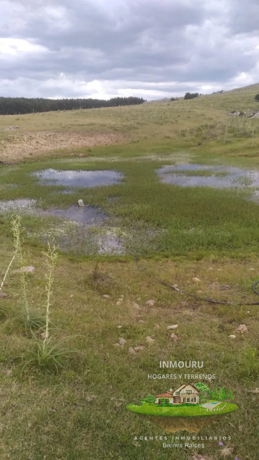 Campo Ref.1764 - VENTA de CAMPO de 34,5 ha en MALDONADO