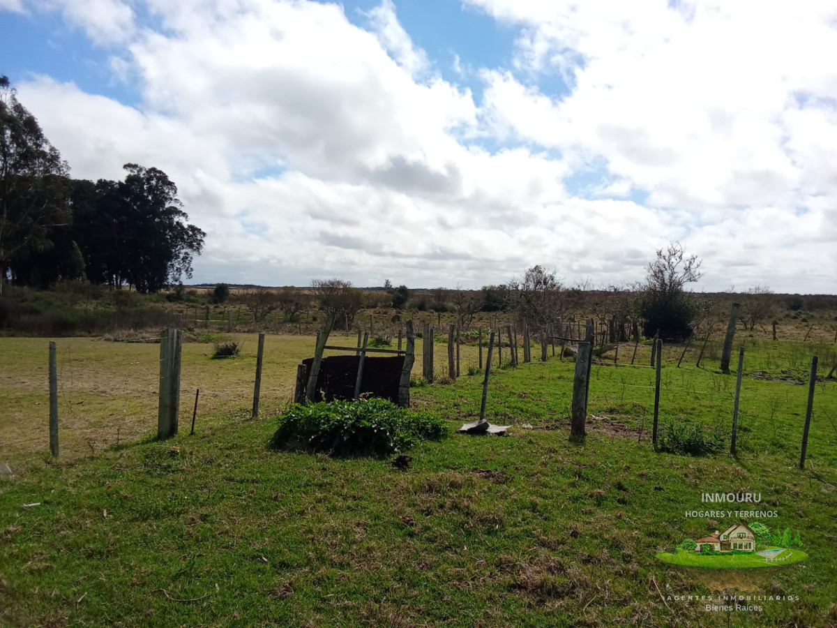 Campo Ref.1548 - Venta de Campo en Villa Passano