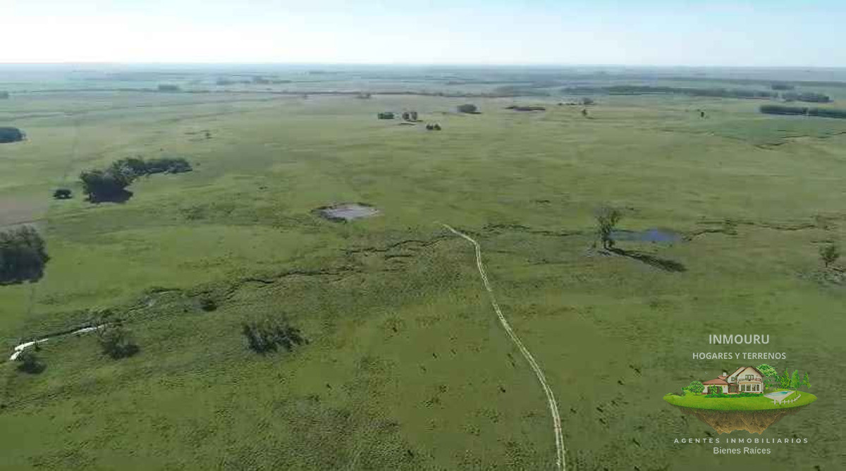Campo Ref.2613 - Venta de campo en Florida Precio en dólares