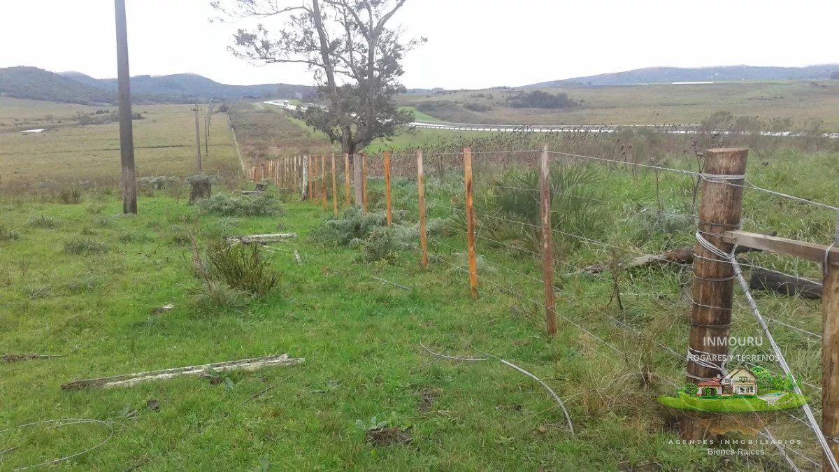 Campo Ref.730 - Se vende campo de 80hás, Marco de los Reyes, Lavalleja
