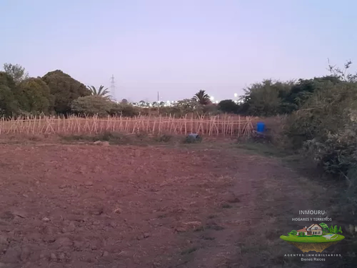 Campo Ref.488 - Venta de campo 4 y un cuarto de hectáreas en paso de la arena 
