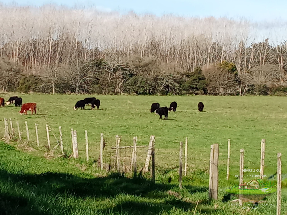 Campo Ref.1548 - Venta de Campo en Villa Passano