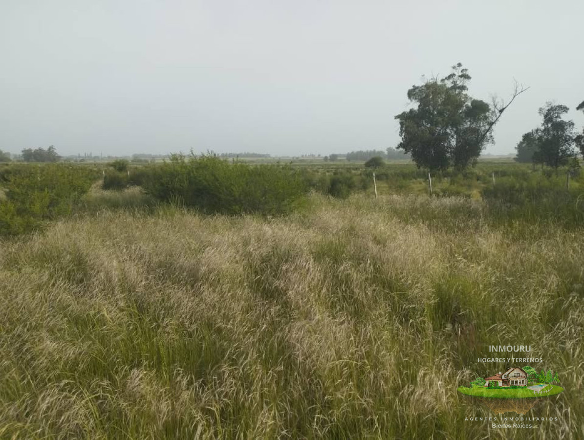 Campo Ref.2896 - Venta de Campo en Santa Rosa