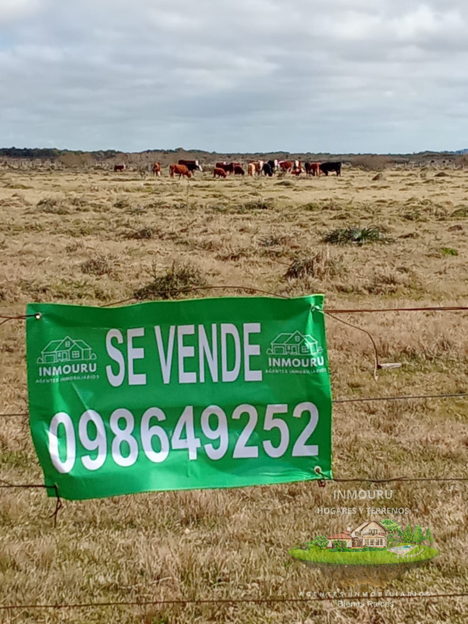 Campo Ref.1548 - Venta de Campo en Villa Passano