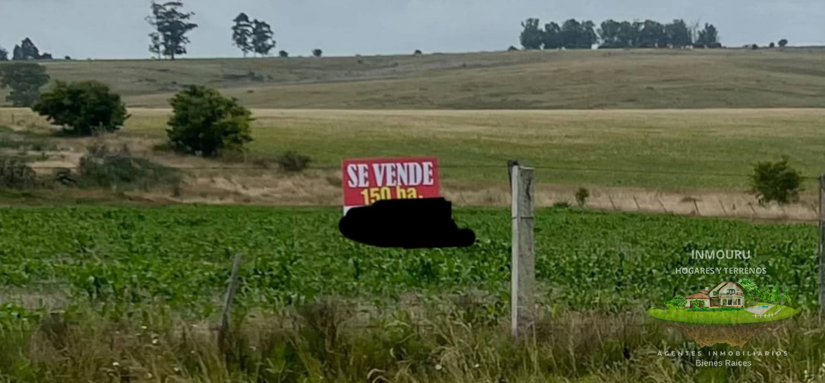 Campo Ref.1550 - Venta de campos en Paraje La Pedrera