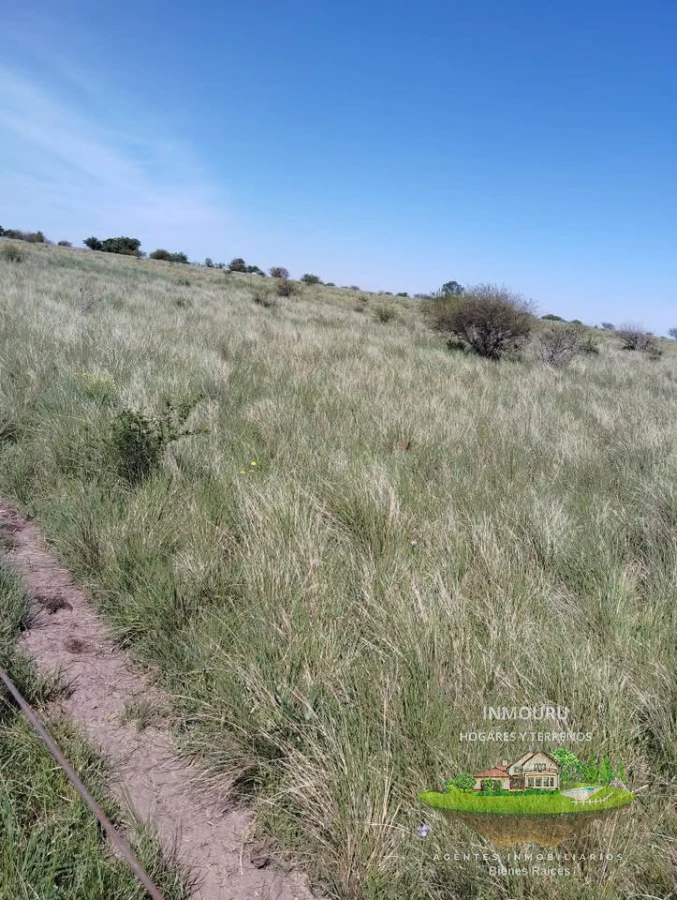 Campo Ref.2150 - VENTA de campo de 250 hectáreas en CANELONES