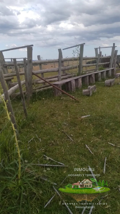 Campo Ref.1764 - VENTA de CAMPO de 34,5 ha en MALDONADO
