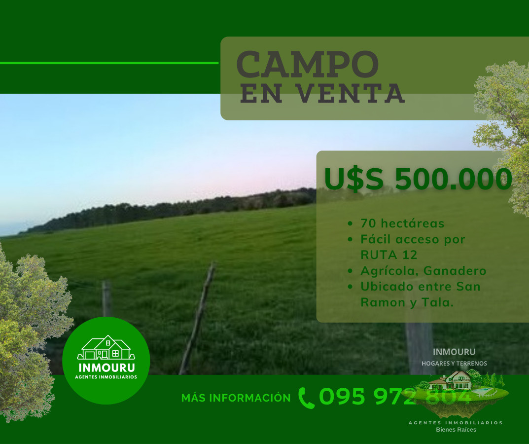 Campo Ref.1578 - Venta de Campo por RUTA 12