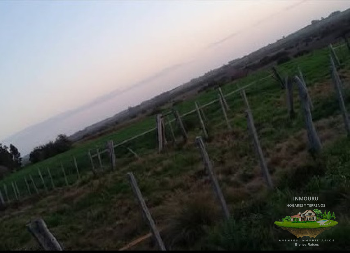 Campo Ref.1578 - Venta de Campo por RUTA 12
