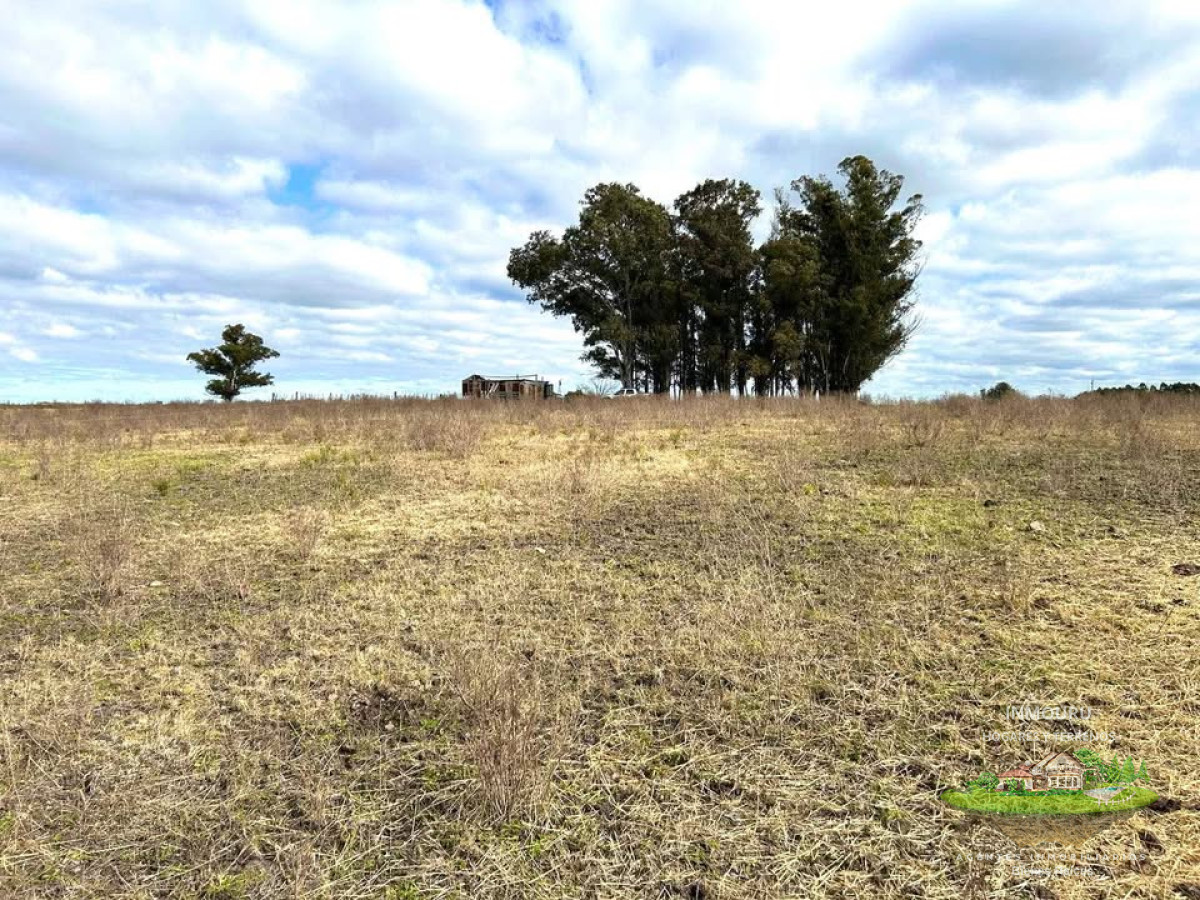Campo Ref.1905 - Venta campo en Minas