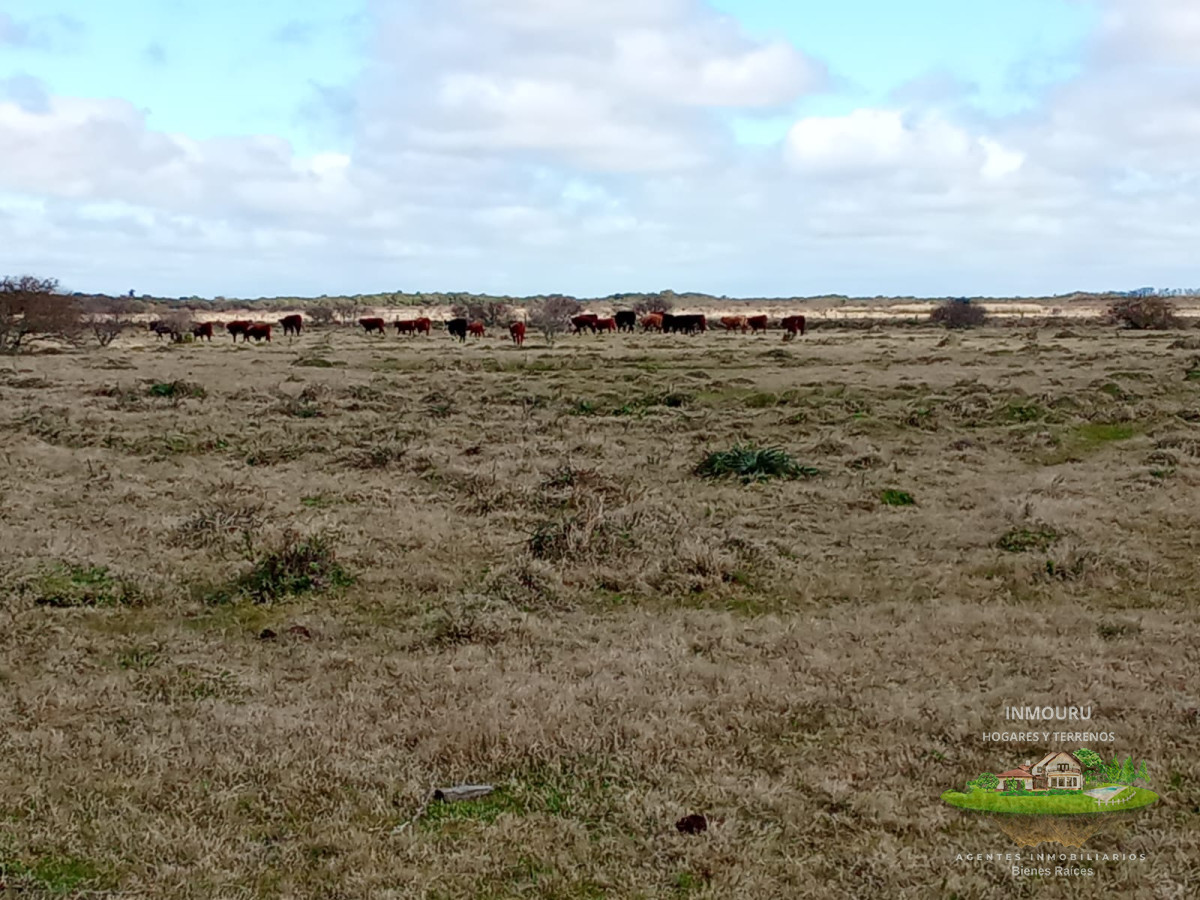 Campo Ref.1548 - Venta de Campo en Villa Passano