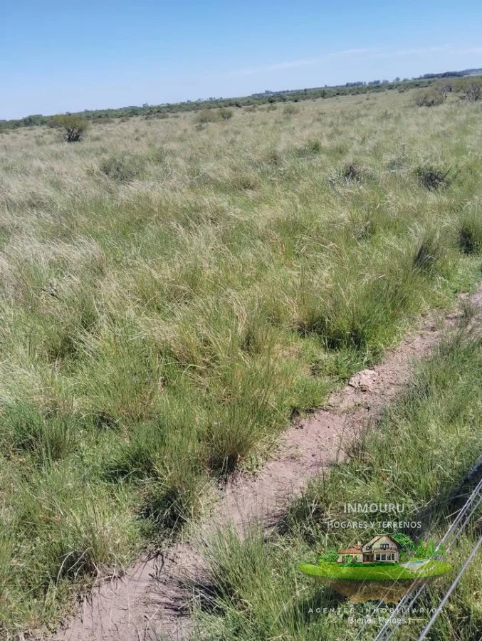 Campo Ref.2150 - VENTA de campo de 250 hectáreas en CANELONES