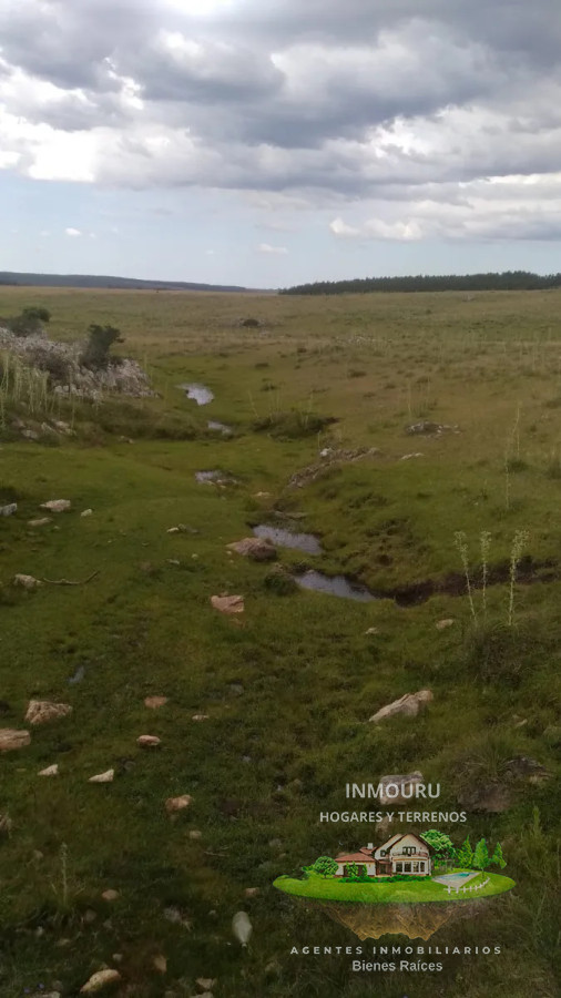 Campo Ref.1764 - VENTA de CAMPO de 34,5 ha en MALDONADO