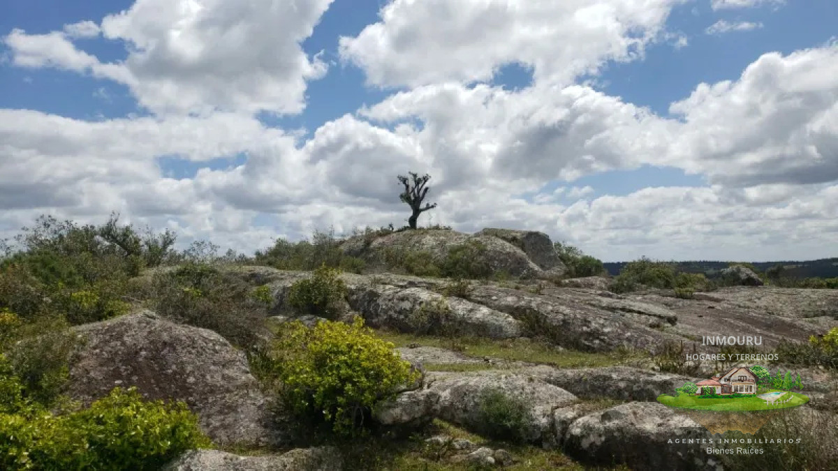 Campo Ref.839 - VENTA de campo en LAVALLEJA (Minas)