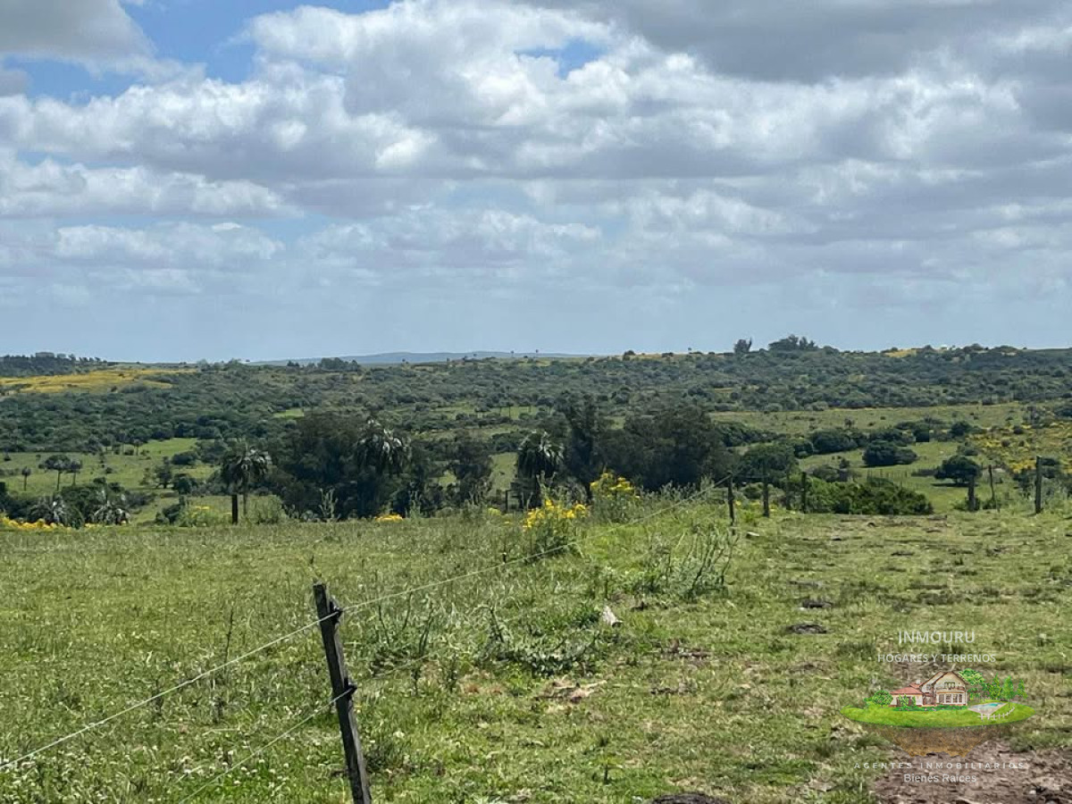 Campo Ref.1921 - Venta de campo en Castillos, Rocha