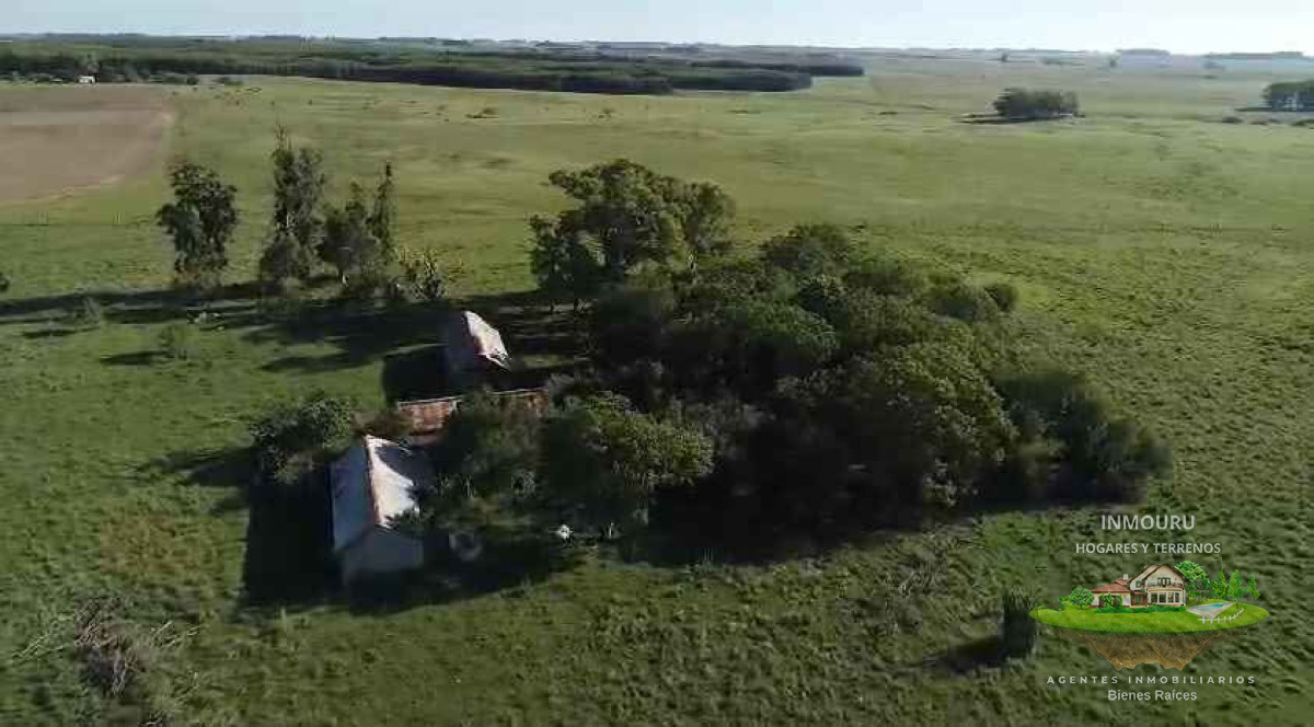 Campo Ref.2613 - Venta de campo en Florida Precio en dólares