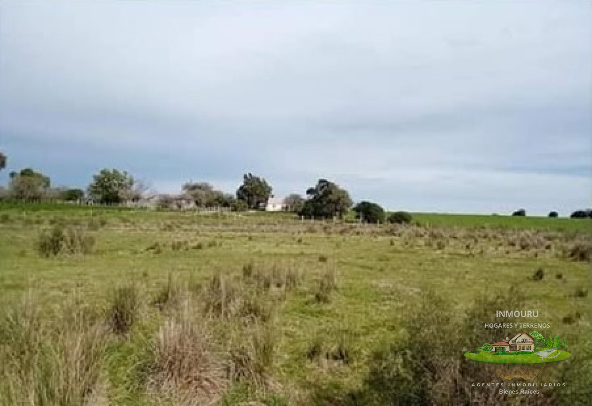 Campo Ref.1996 - Venta de campo de 70 hectareas