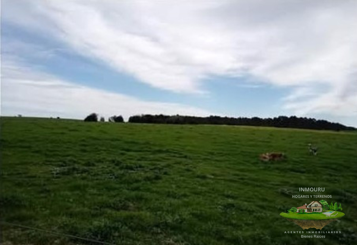 Campo Ref.1996 - Venta de campo de 70 hectareas