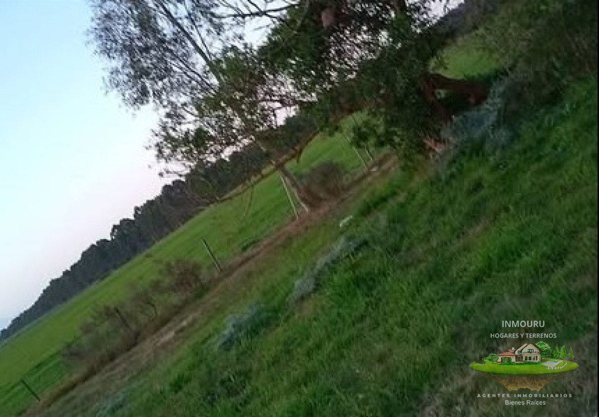 Campo Ref.1578 - Venta de Campo por RUTA 12