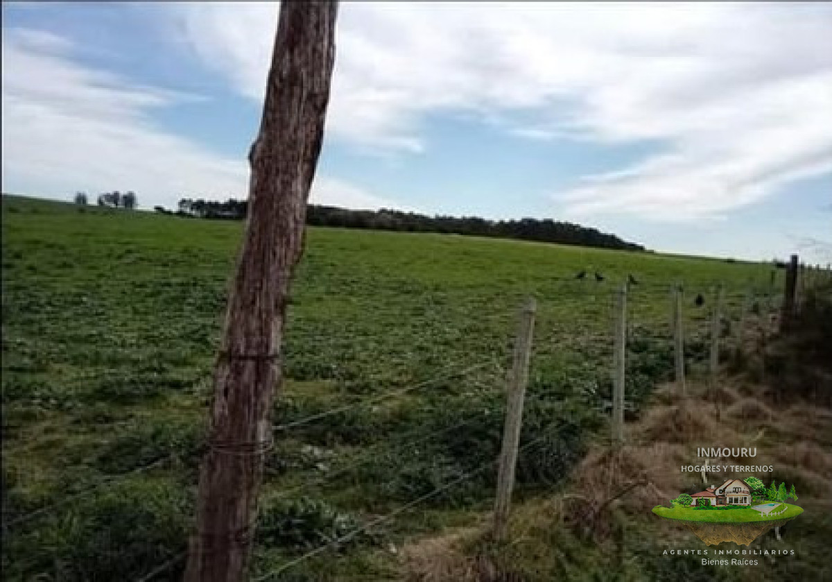 Campo Ref.1996 - Venta de campo de 70 hectareas