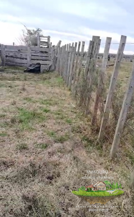 Campo Ref.1995 - Venta de Campo cerca de Piedritas